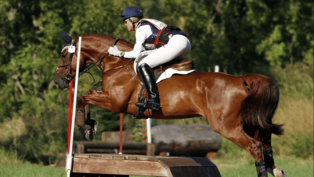Karen O'Neal eventing